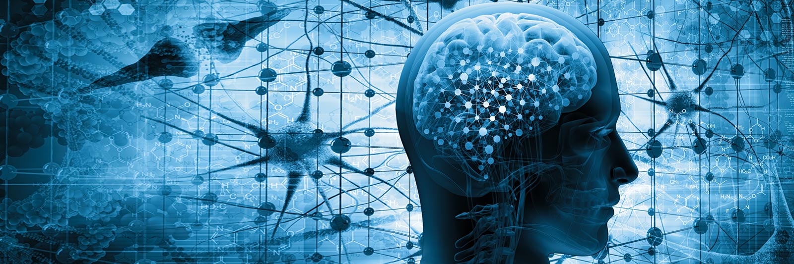 endocannabinoid sytem